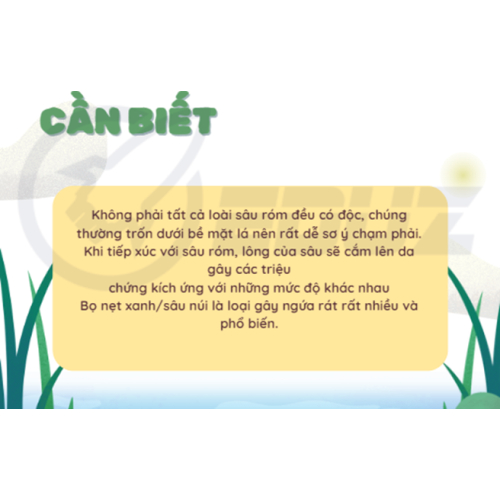Bạn cần biết